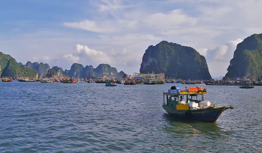 crucero bahía Halong vietnam
