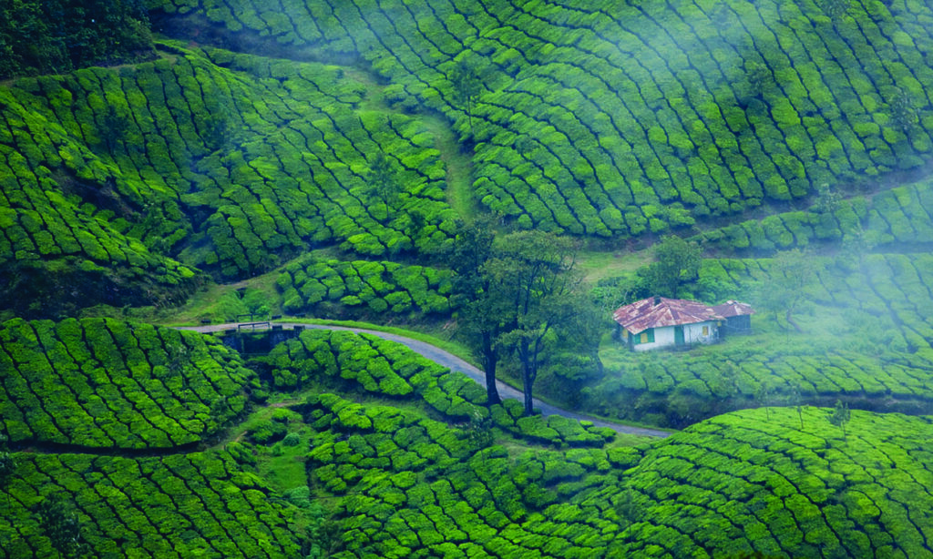 viajar a kerala