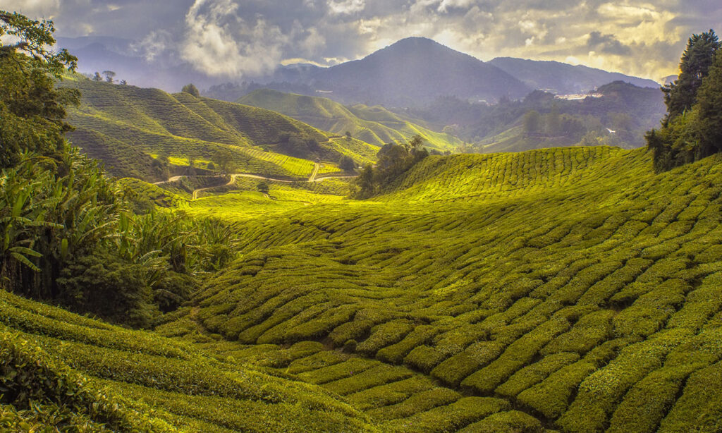 viajar a kerala