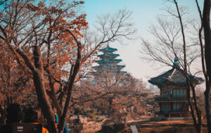 excursiones viaje únicas Corea Sur